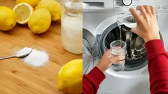Mit Zitronensäure die Waschmaschine pflegen: Nachhaltig, günstig und effektiv