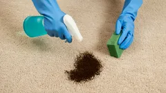 Effektive Teppichreinigung: Profi-Tricks für ein gepflegtes Zuhause