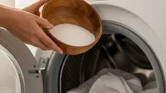 Waschpulver wird in eine Waschmaschine mit weißer Wäsche eingefüllt.