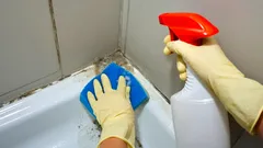 Badezimmerreinigung: Schimmel in Fugen mit Schwamm und Reinigungsmittel entfernen